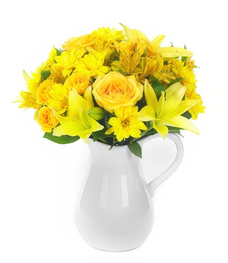 The Sunny Smiles of Life